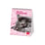 Calendrier de bureau 2027 Legami - Chatons