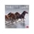 Calendrier mural 2027 Legami - Chevaux sauvages - 30 x 29 cm