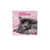Calendrier 2027 Legami - Chatons - 18 x 18 cm