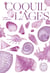 Coquillages - joyaux des mers