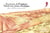 Sous la terre de l'Ouzbékistan. Portrait d'une mission archéologique : Portrait d'une mission archéologique