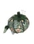 Pelote à épingles Hobby Gift - Tomate - Morris Green