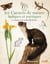 Carnets de nature ludiques et poetiques