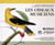 Les oiseau musiciens