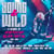 Young And Wild : A Decade Of American Glam Metal 1982-1992