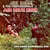 Jam Down Rock - Joe Gibbs Dancehall Dub