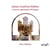 Concerti appropriati all'organo
