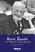 René Cassin 1914-1948 : les années décisives