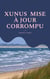 Xunus mise à jour corrompu