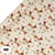 Papier cadeau Pictura - teckel Dyment - 4 m