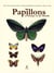 Papillons d'Europe et du monde