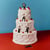 Songs From The Wedding Cake - édition gatefold