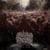 Elucidations On Flesh Paradoxes