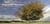 Arbres d'Ardèche : Photographies de Simon Bugnon, 10 cartes postables détachables