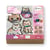 Pixel Art miroir Aladine - Chats