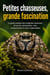 Petites chasseuses, grande fascination : Le guide pratique des araignées sauteuses : terrarium, alimentation, mue, comportement et soins...