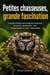 Petites chasseuses, grande fascination : Le guide pratique des araignées sauteuses : terrarium, alimentation, mue, comportement et soins...