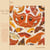The Colour Of Spring - édition spéciale