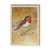 Carte de vœux Ohh Deer - Rouge-gorge