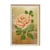 Carte de vœux Ohh Deer - Pivoine