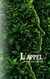L'appel : Tome 3