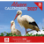 Calendrier 2026-2027 - 16 mois - Alsace