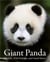 Giant Panda : Portraits, Wild Habitats, and Untold Stories