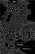 The afterlives of plastic: trash and the art of camouflage /anglais