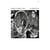 Illusion Suite - Vinyle