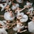 50 ballerinas