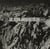 Black mountain