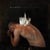 Death Of The Altar - CD