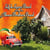 Plays the Allman Brothers Band