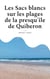 SACS BLANCS SUR PLAGES DE PRESQU DE QUIB