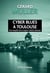 Cyber blues à Toulouse