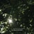 Almost Starlight - CD