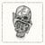 Flesh Masks For Skulls - CD