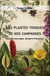Les plantes toxiques de nos campagnes