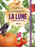 Cultiver son potager avec la lune