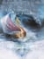THE VOYAGE OF THE DAWN TREADER - THE CHRONICLES OF NARNIA VOL. 5