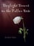 Daylight Dawns on the Fallen Rose