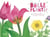Une belle plante ! - La vie des plantes à fleurs