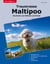 Traumrasse Maltipoo - Das Beste aus Malteser und Pudel