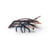 Homard - Papo