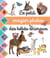 Le petit imagier photos : les bébés animaux