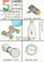 Five More Simple Science Experiments - Step by step guides, #2