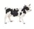 Vache noire et blanche - PAPO - 51148
