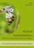 Kleine Schönheiten - Wildblumen, Wildbienen und Schwebfliegen - Naturbeobachtungen in einem Bauerngarten