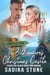The Billionaire’s Christmas Castle: A Silver Fox Holiday Beach Town Romance - Trappers Cove Romance, #3