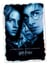Harry Potter - le manuel du sorcier - Coffret Premium